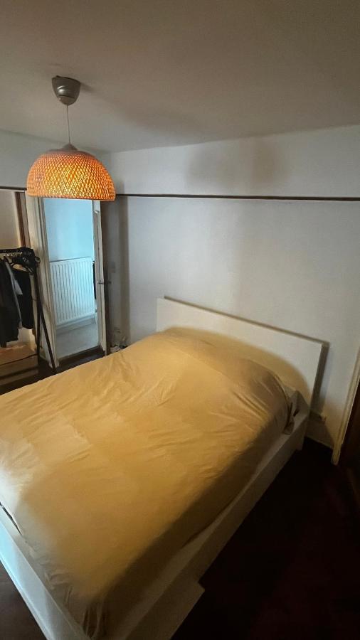 Beautiful Apartment A Few Steps Away From Grand Place Брюссель Экстерьер фото